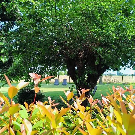 סן מקילה אל טליאמנטו B&B Casa Del Bosco מראה חיצוני תמונה