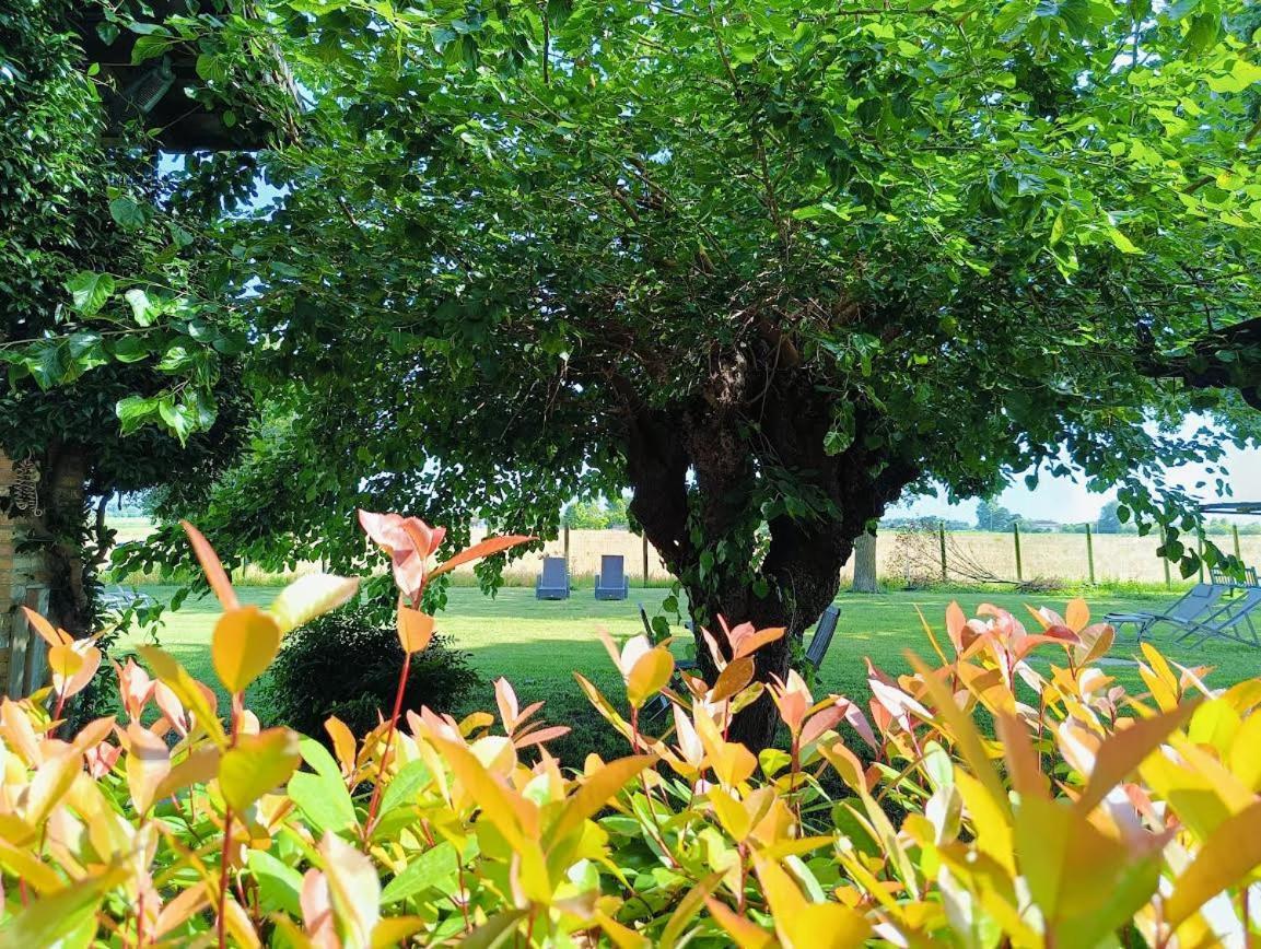 סן מקילה אל טליאמנטו B&B Casa Del Bosco מראה חיצוני תמונה