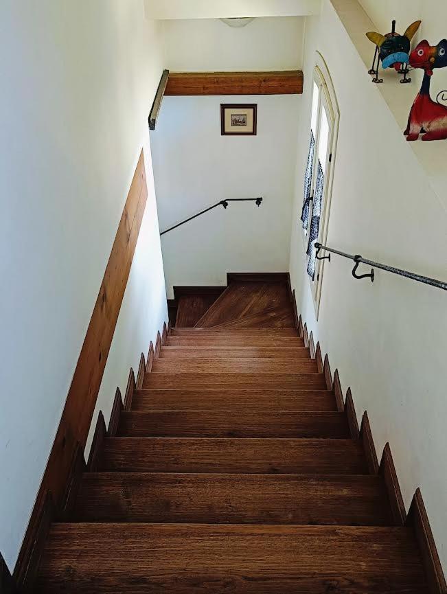 סן מקילה אל טליאמנטו B&B Casa Del Bosco מראה חיצוני תמונה