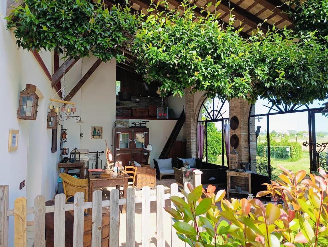 סן מקילה אל טליאמנטו B&B Casa Del Bosco מראה חיצוני תמונה